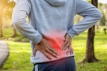 Best Low Back Pain Therapy Center in Clifton – Expert Relief You Can Trust