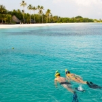 Why You Should Sign Up For Adult Swim Lessons?