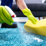 How to Get Fast and Effective Emergency Carpet Cleaning in Templestowe Lower