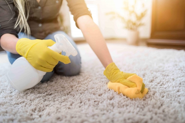 Can Home Cleaning Services Help with Allergies or Pet Odor?