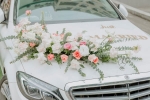 Top Mercedes V Class & Executive Chauffeur Services