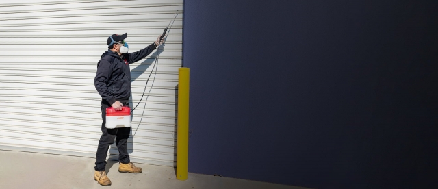 Effective Pest Control in Brooklyn: Protecting Homes and Businesses