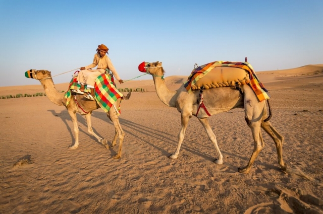 Discover the Magic of Rajasthan: Best Rajasthan Tour Packages for Your Dream Holiday