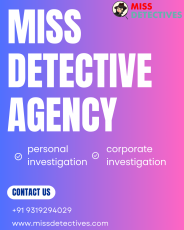 Private Detective in Delhi