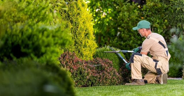Convert Your Outdoor Room with Expert Backyard Care Solutions in Dusseldorf and Encompassing Parts