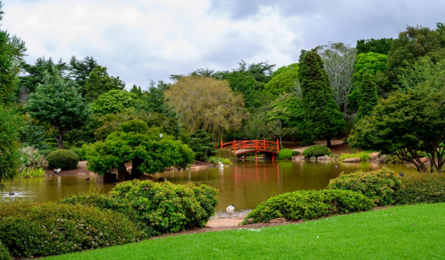 Reflections Water Gardens: Transforming Outdoor Living Into Natural Retreats
