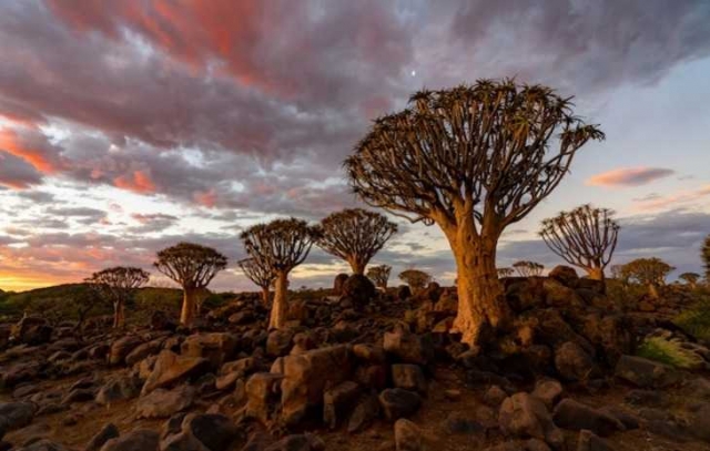 Explore the Wild and Wonderful: Book South Africa Family Tour Packages Online