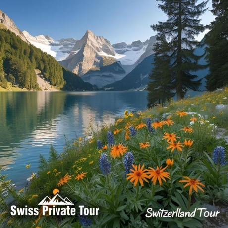 Unlock Switzerland's Secrets: Bespoke Exclusive Private Tours