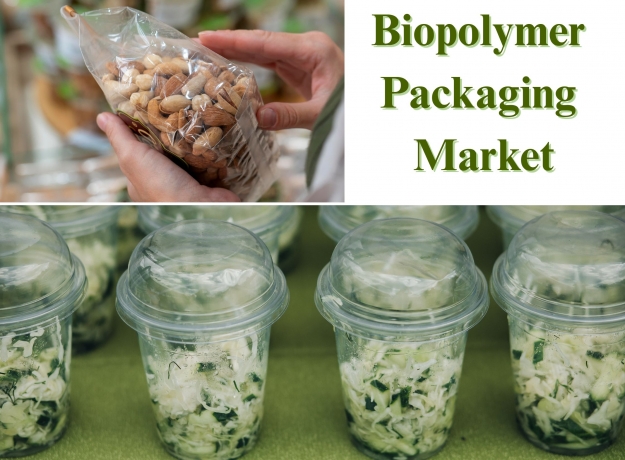 Biopolymer Packaging Industry Outlook: Market Demand Trends 2032