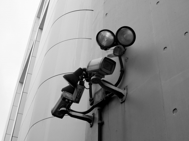 Strengthening Business Safety Through Smart Surveillance