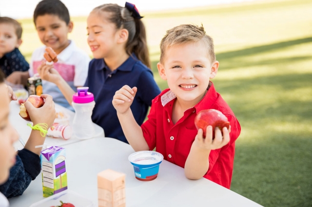 10 Factors Pediatricians Explain How Early Nutrition Influences Lifelong Well-Being