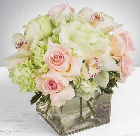 Brighten Mother’s Day with Pink Flowers from Black Petals – Order Now!
