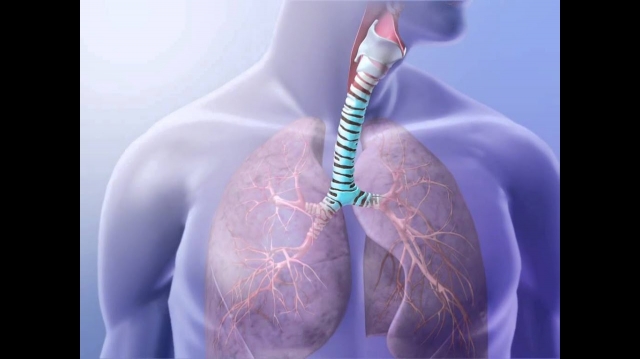 Bronchial Spasm Market Anticipated to Grow Owing to Rising Asthma Prevalence