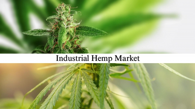 Industrial Hemp Market Size, Share, Regional Analysis and Forecast to 2032