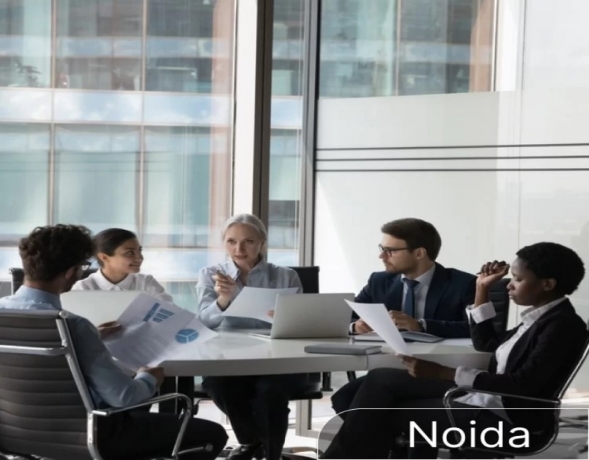 Best Noida-Based Startup Consultants Helping Businesses Scale in 2025.