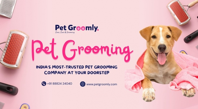 Pet Grooming in Hyderabad: Give Your Pets the Royal Treatment with Pet Groomly