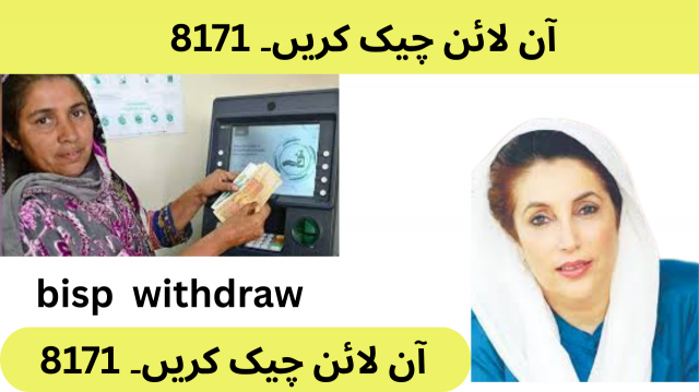 Title: 8171 BISP Helpline Number and Contact Details – Your Complete Guide