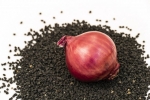 Growing Demand for Onion Seeds Drives Global Agricultural Market Growth