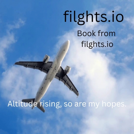 How Filghts is Revolutionizing Air Travel Booking for Budget-Conscious Travelers  .