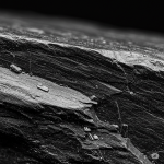 Nordic Graphite Market Landscape and Industry Poised for Rapid Growth 2031