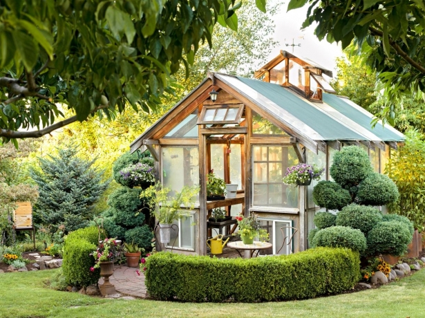 Greenhouse Shopping 101: Factors To Consider Before Making Your Purchase