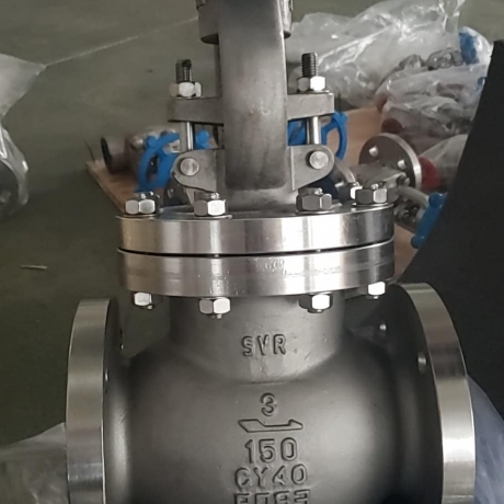 Globe Valve Manufacturers in India