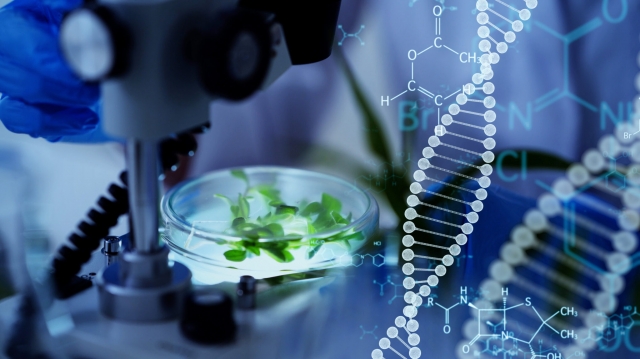 White Biotechnology Market to Witness High Growth Owing to Synthetic Biology