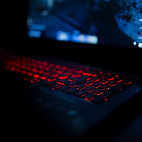 Why People Turn to Ethical Hackers: Exploring the Demand for Cyber Expertise