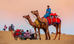Are Jaisalmer Desert Camps Really Worth the Hype? A Facilities Review