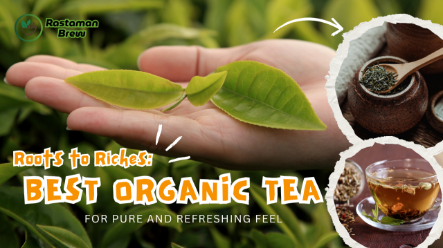 Roots to Riches: Your Best Organic Tea to Pure and Refreshing Feel