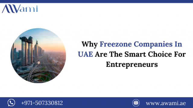 Why Freezone Companies In UAE Are The Smart Choice For Entrepreneurs