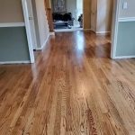 How to Care for Your Hardwood Floors: Do’s and Don’ts