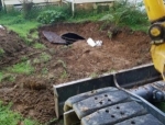 How Oil Tank Removal Affects Home Sale Transactions