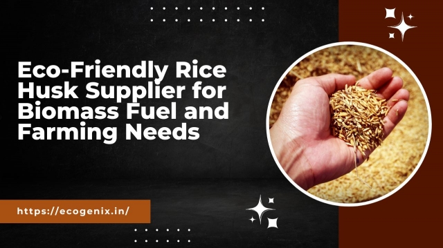 Eco-Friendly Rice Husk Supplier for Biomass Fuel and Farming Needs