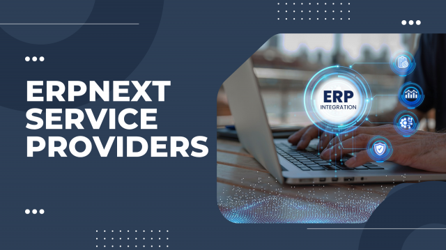 Anyone Built an ERPNext Based System at a Small Company?