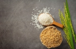 Unlocking the Power of Rice DDGS in Animal Feed – Enpro Feeds