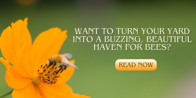 Creating a Pollinator-Friendly Garden: Attracting Bees, Butterflies, and Birds!