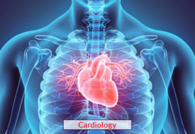 Comprehensive Guide to Heart Treatment in India: Procedures, Costs & Benefits