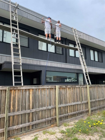 Painters Casuarina