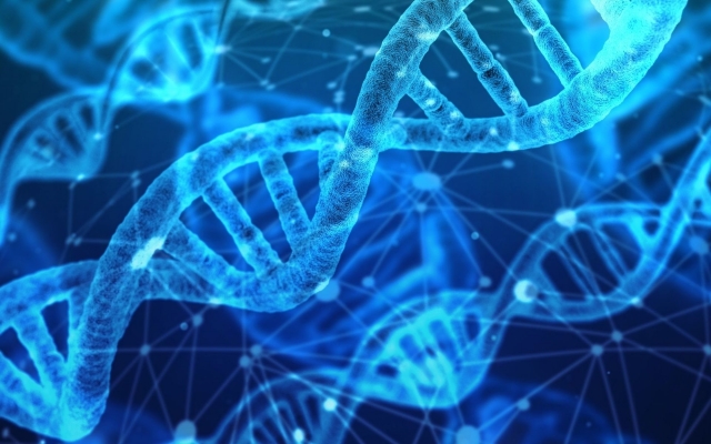 Preimplantation Genetic Diagnosis Market to Grow Owing to Advanced Screening