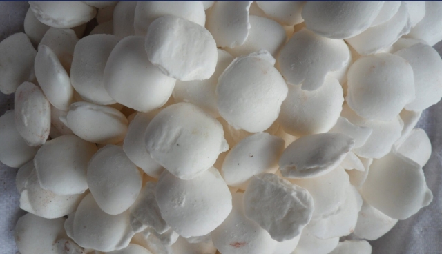 Sodium Cyanide Market Estimated to Witness High Growth Owing to Electrochemical Synthesis