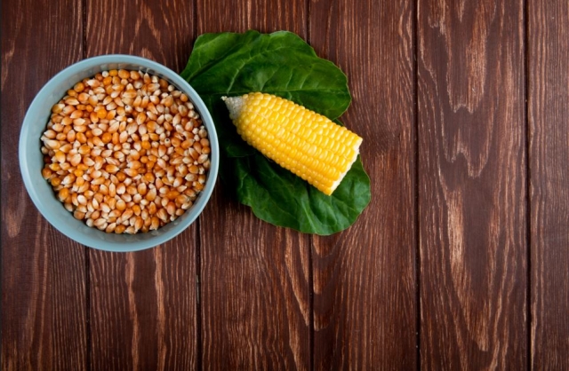 Corn Distiller Grain by Enpro Feeds