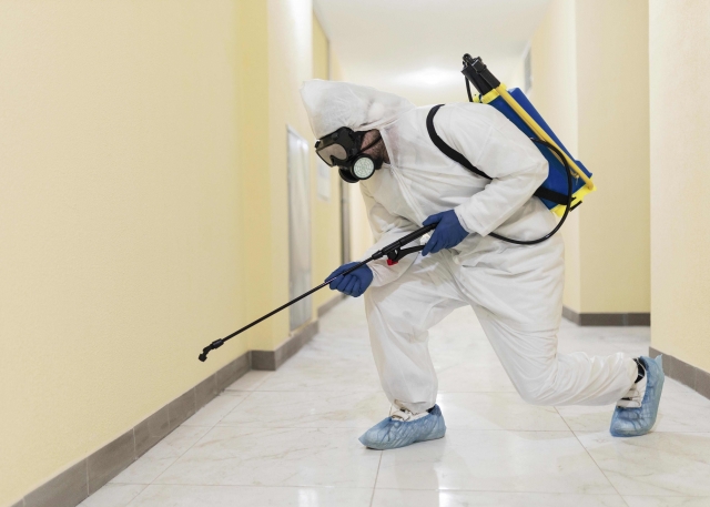 How To Choose The Best Pest Control Company In Indianapolis
