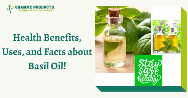 Health Benefits, Uses, and Facts about Basil Oil!