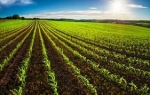 Faisalabad Agriculture Land – A Smart Investment