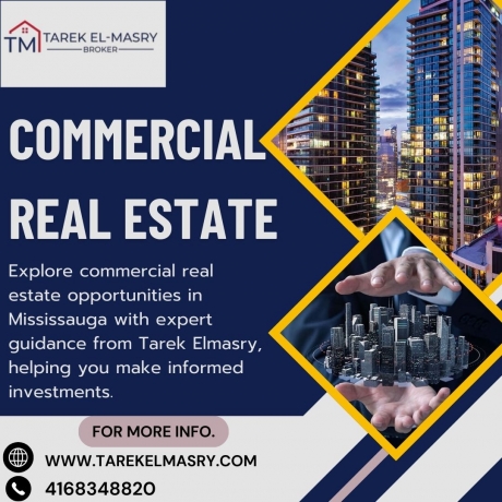 Discover the Top Commercial Real Estate Brokers in Mississauga to Secure Your Ideal Property