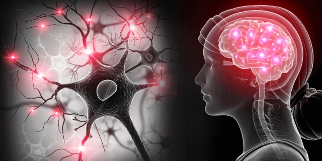 CNS Disorders Therapeutics Market to Grow Owing to Rising Neurodegenerative Cases