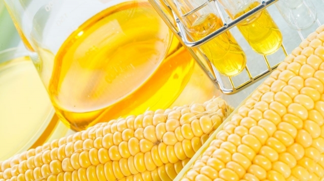 Setting up a Maize Based Liquid Glucose Manufacturing Unit: Detailed Project Report, Cost and Requirements