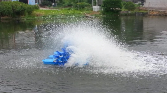 Why Is Pond Aeration Essential for Water Health and Aquatic Life?
