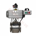 Pneumatic Actuated Valve